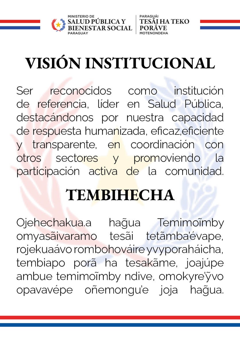 Visión Institucional