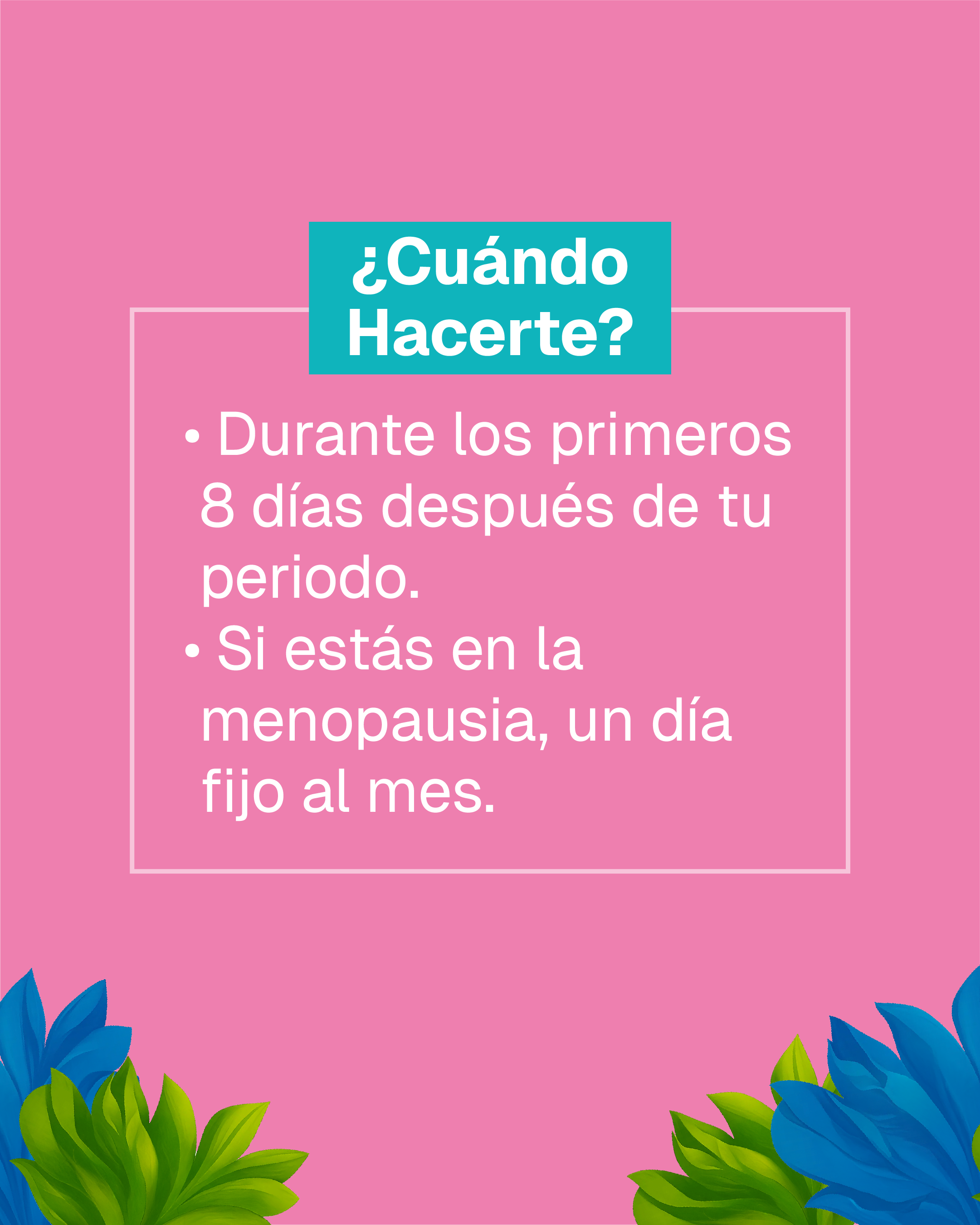 autoexamen3