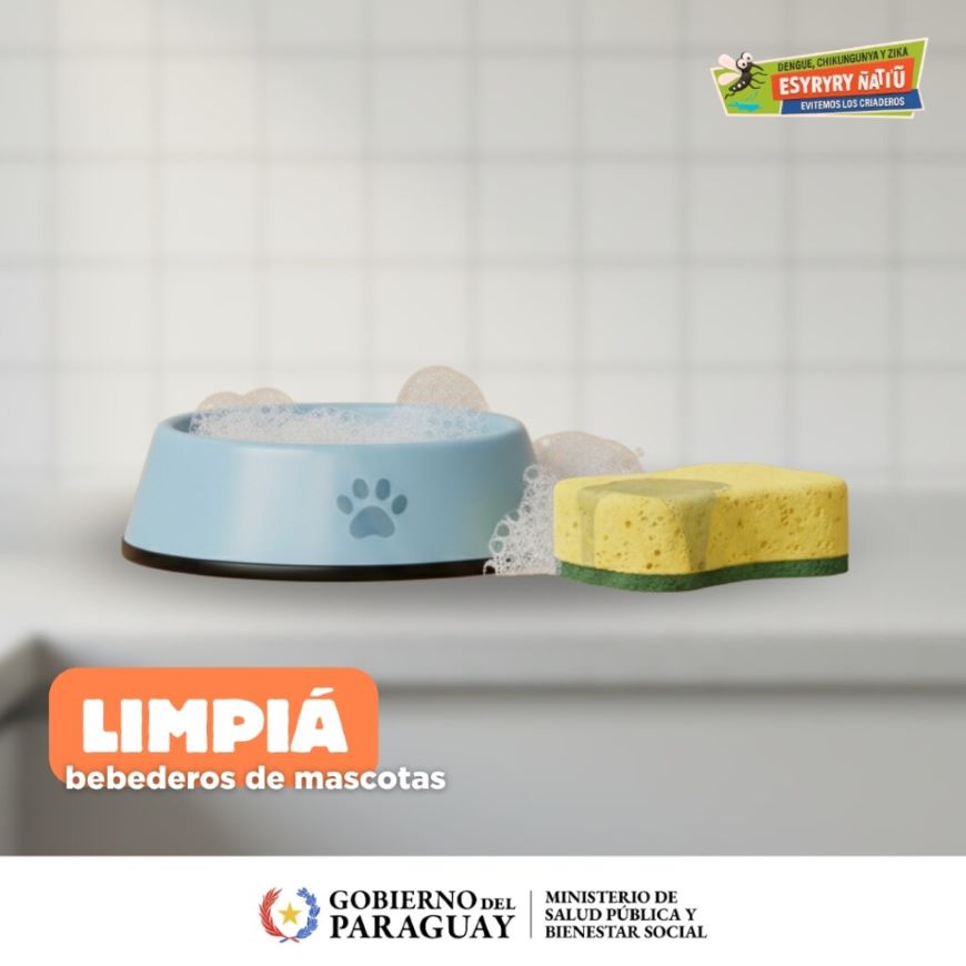 Cuidar los bebederos de animales ayuda a prevenir criaderos de mosquitos