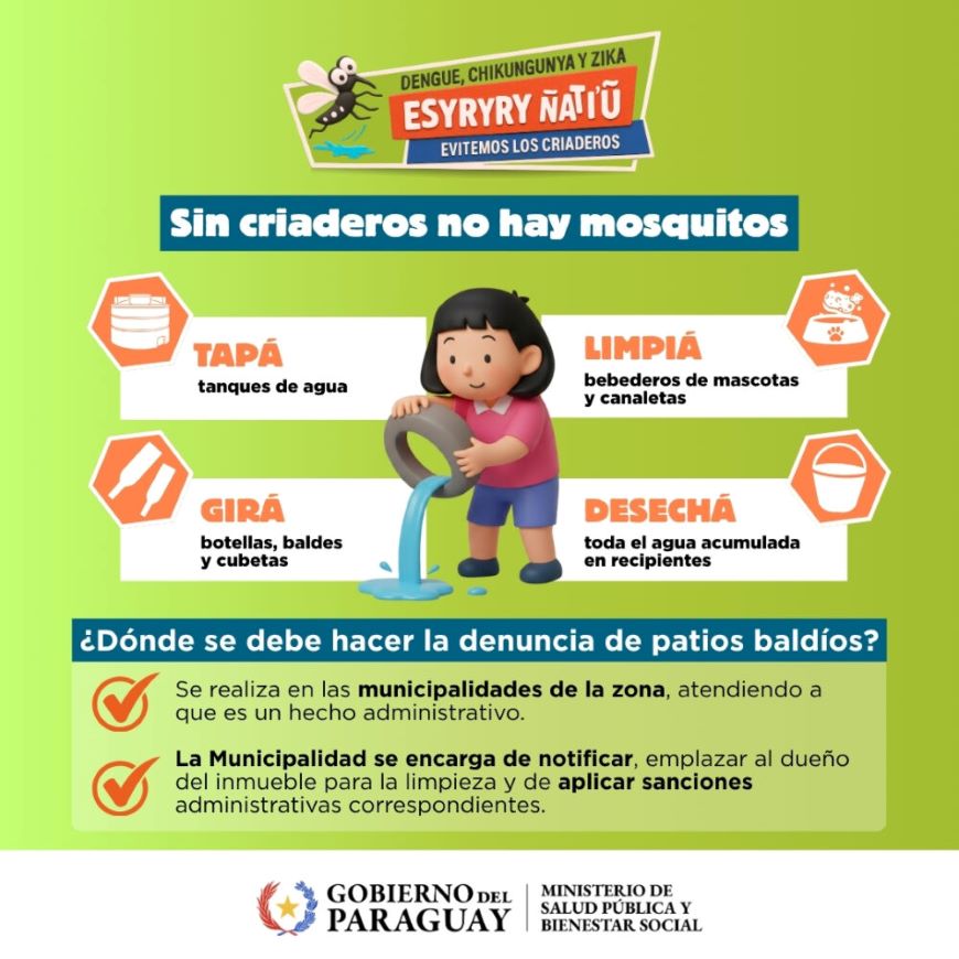 Dengue: franja pediátrica es la más afectada
