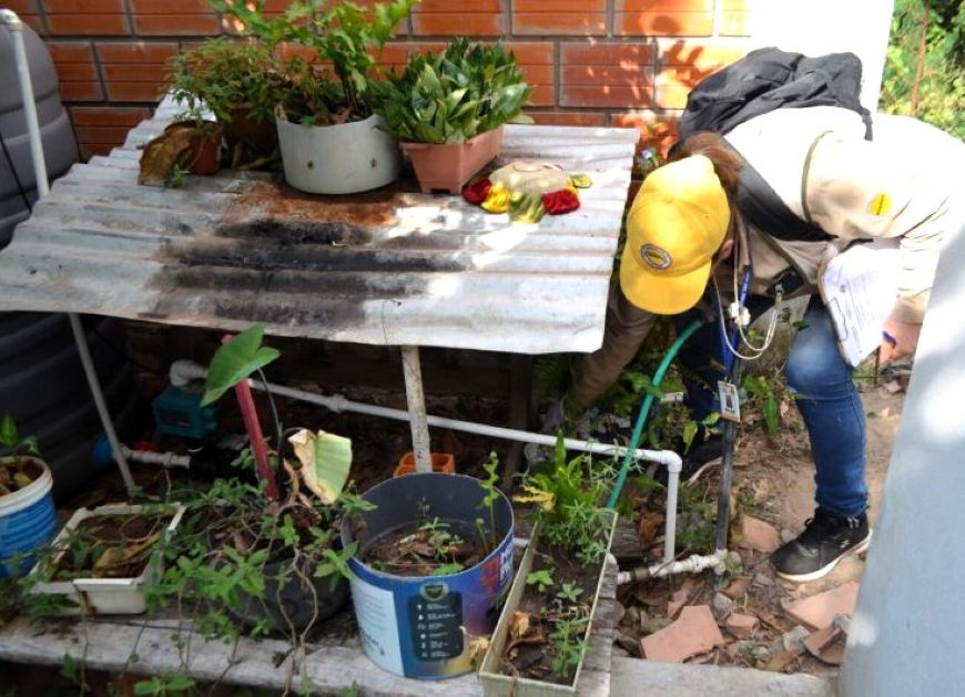 Más de 4.000 criaderos de mosquitos inactivados en Limpio durante minga ambiental