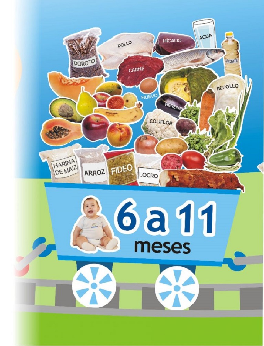 Su bebé a los 6 meses de edad