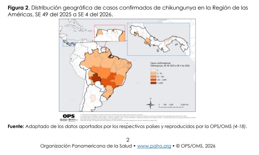 Alerta epidemiológica por chikungunya en las Américas
