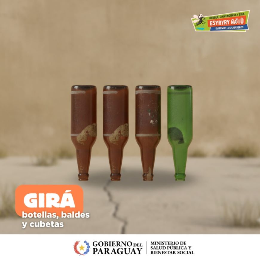 Botellas: pequeños descuidos que se convierten en criaderos de mosquitos