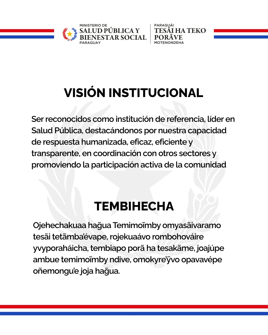 Visión Institucional