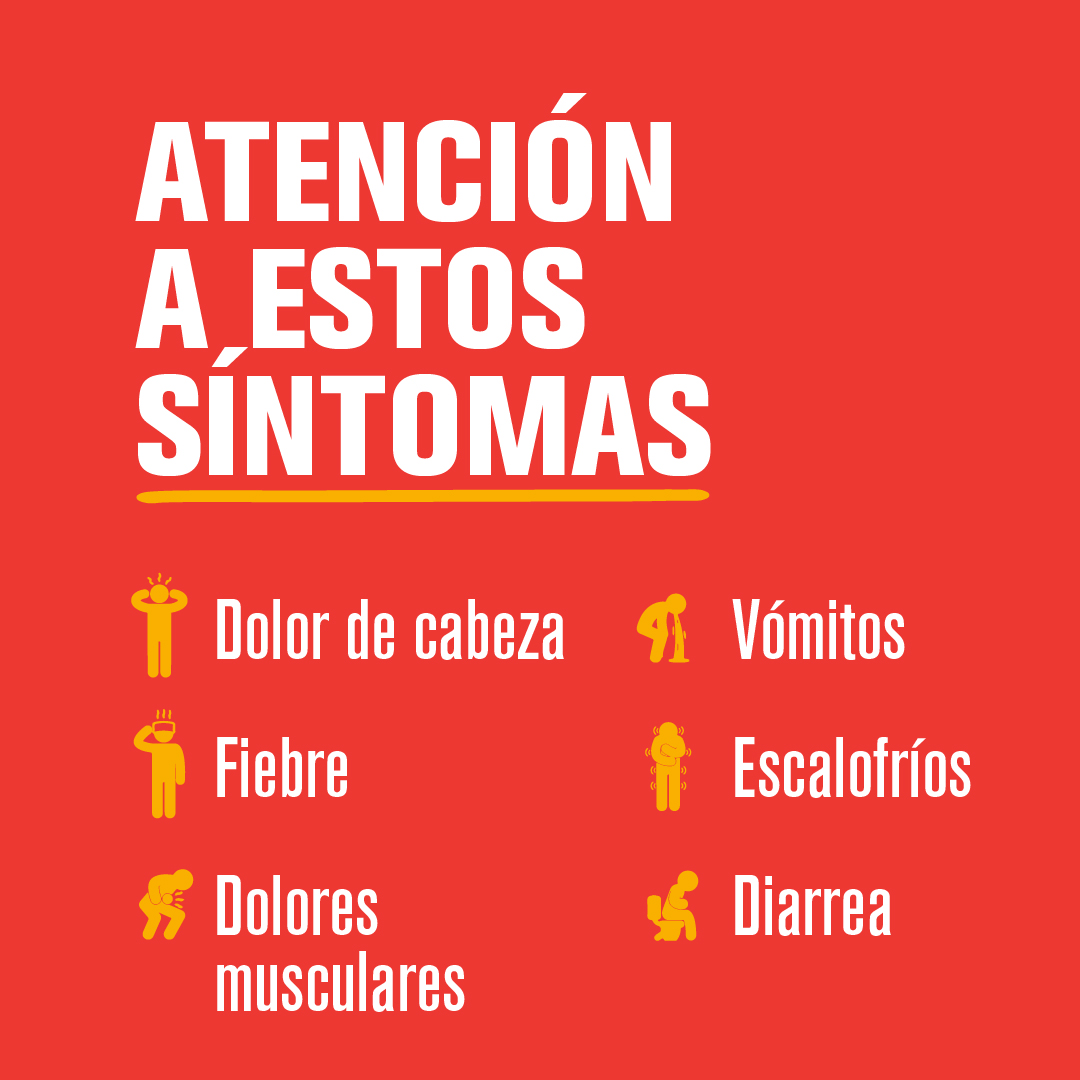 Atención a estos síntomas