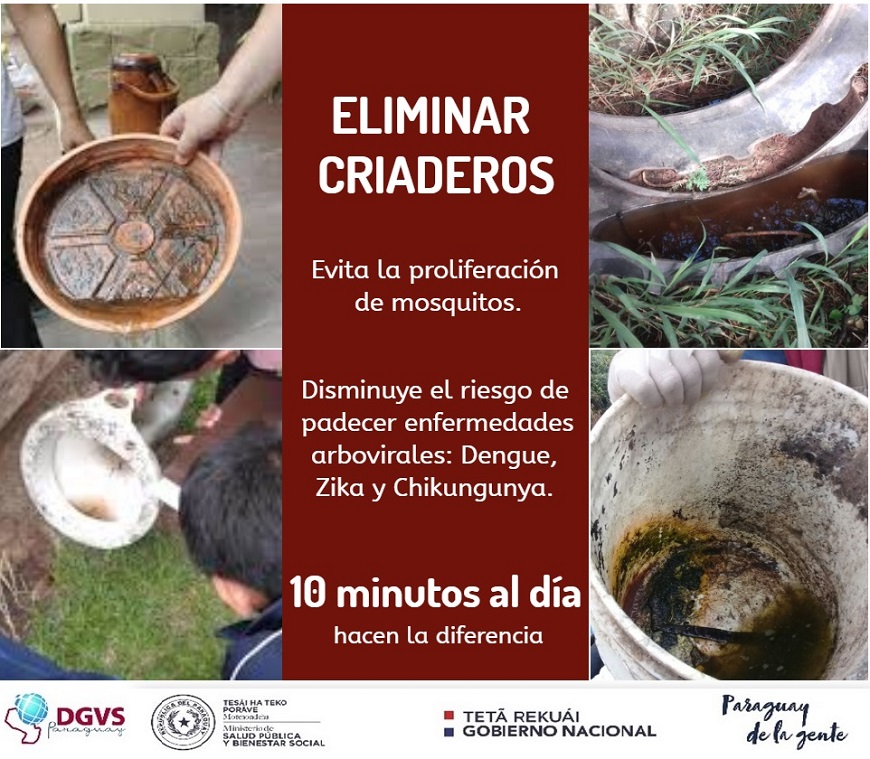 Aumentan casos de Dengue y urge la eliminación de criaderos - Ministerio de  Salud Publica y Bienestar Social