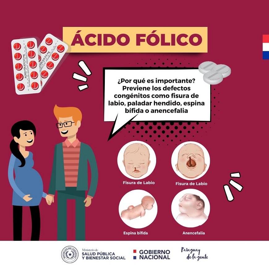 Ingerir ácido fólico antes y durante el embarazo previene defectos  congénitos - Ministerio de Salud Publica y Bienestar Social