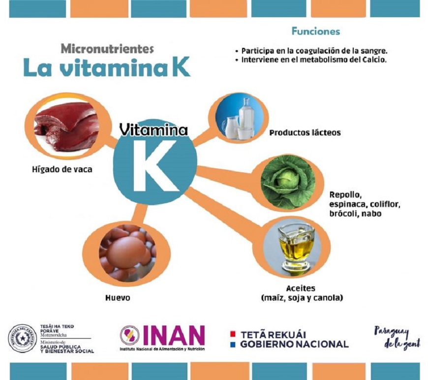 infraestructura yo Ahuyentar Conozcamos las funciones de la vitamina K y en qué alimentos obtenerla -  Ministerio de Salud Publica y Bienestar Social